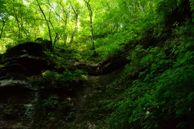 DSC_2779 (Large).JPG